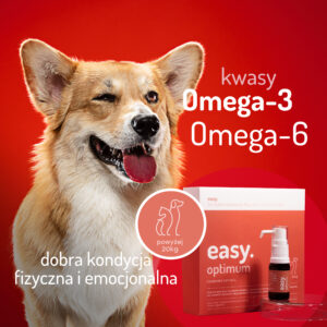 easy. optimum powyżej 20kg