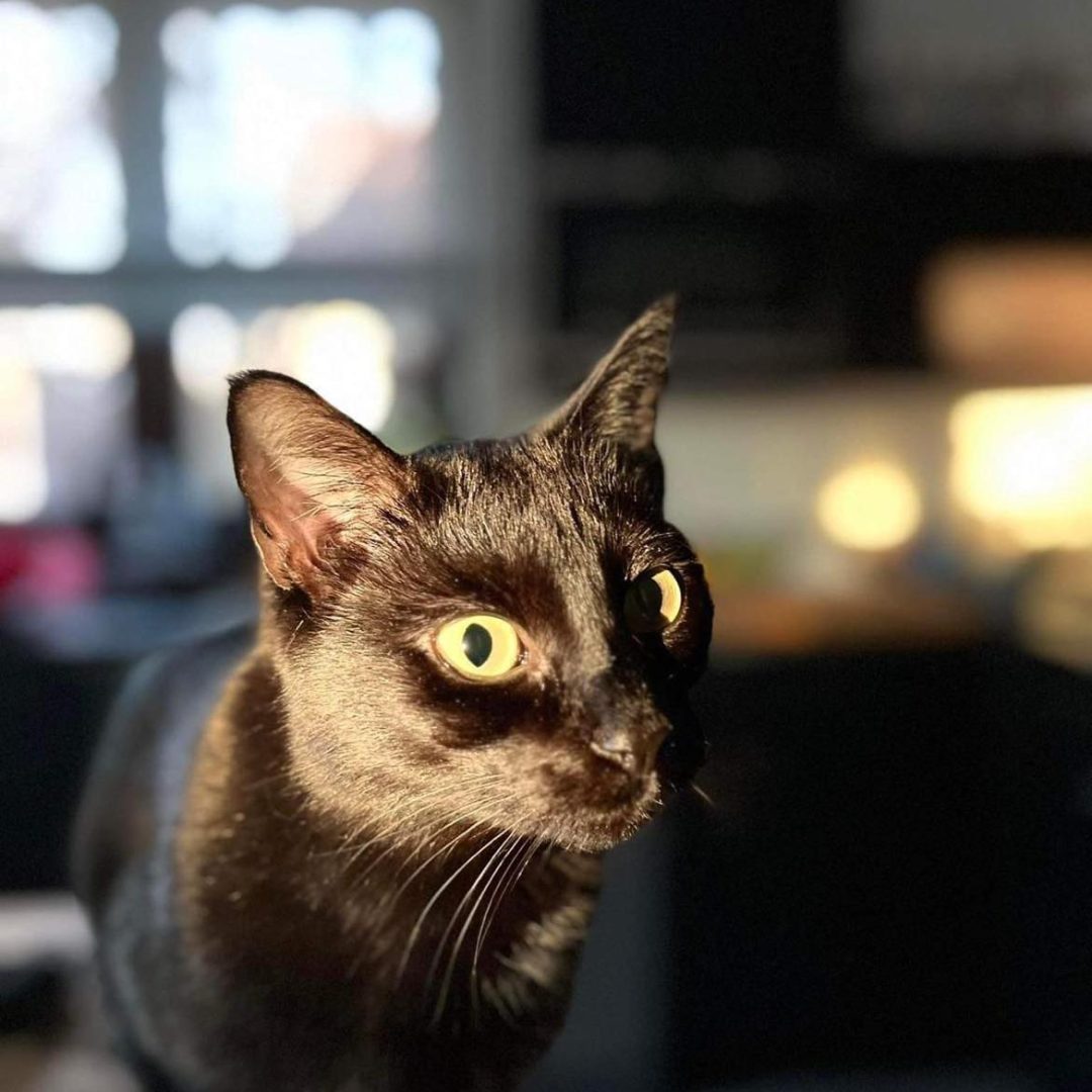 332900952_3370567983258464_6169599225815521400_n