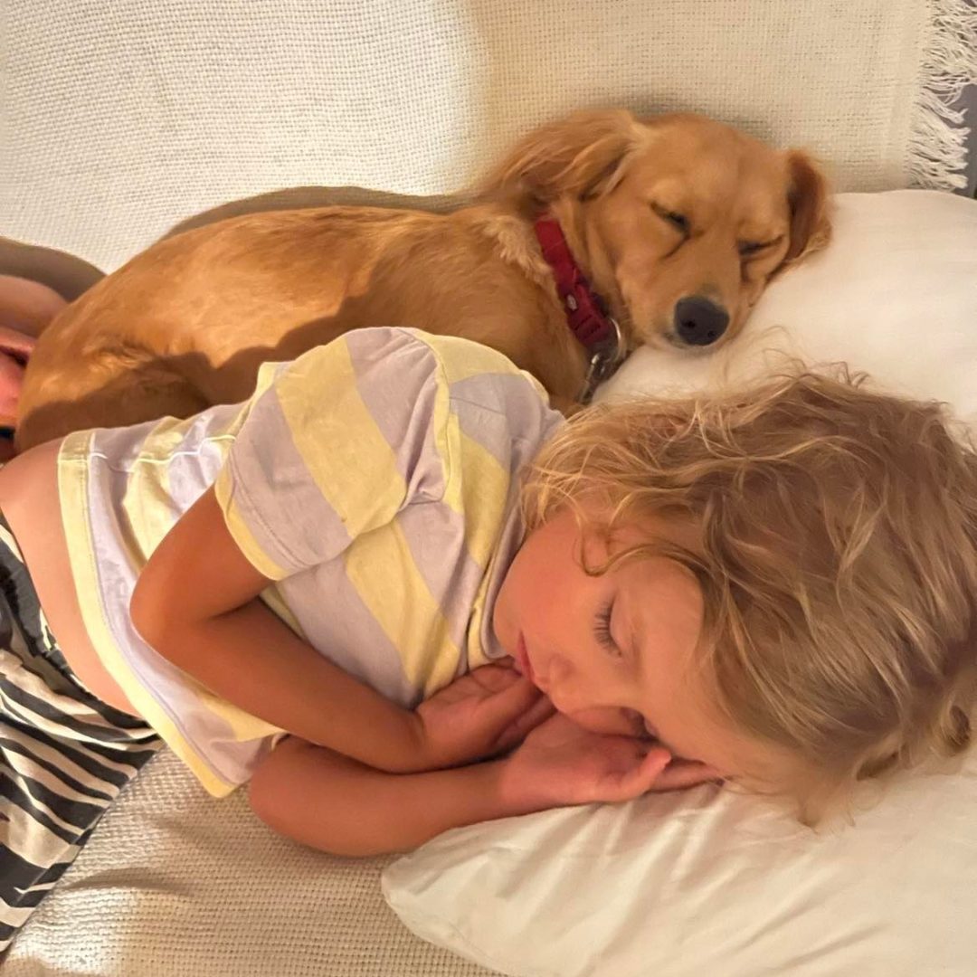 333918837_591455269552888_1856571736852314305_n